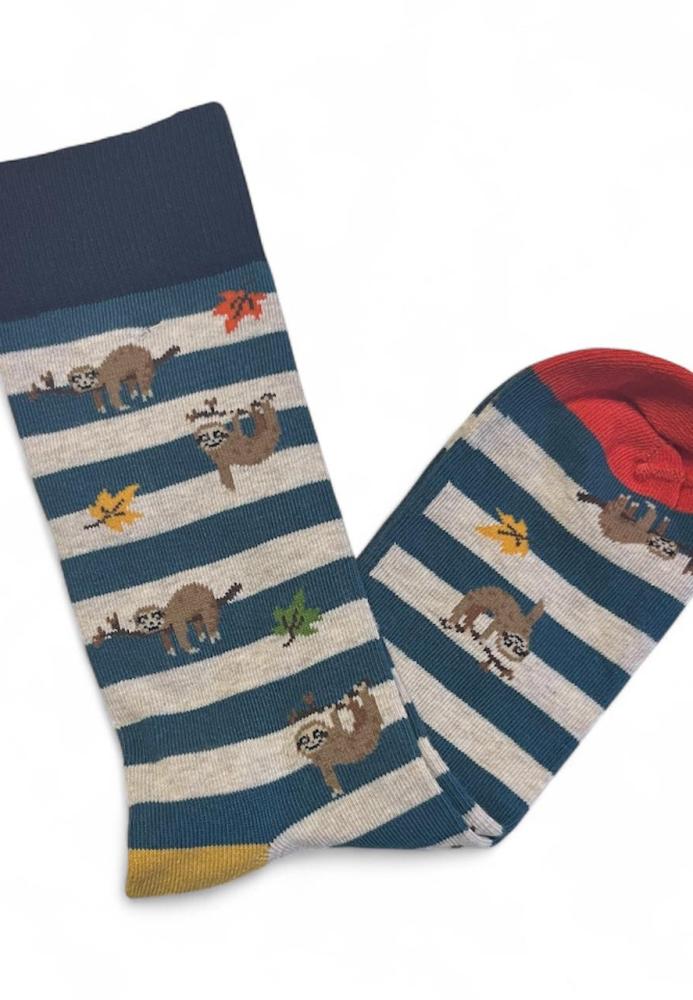 Șosete Bărbătești Organice Fără Cusătură,Colorate , Engros